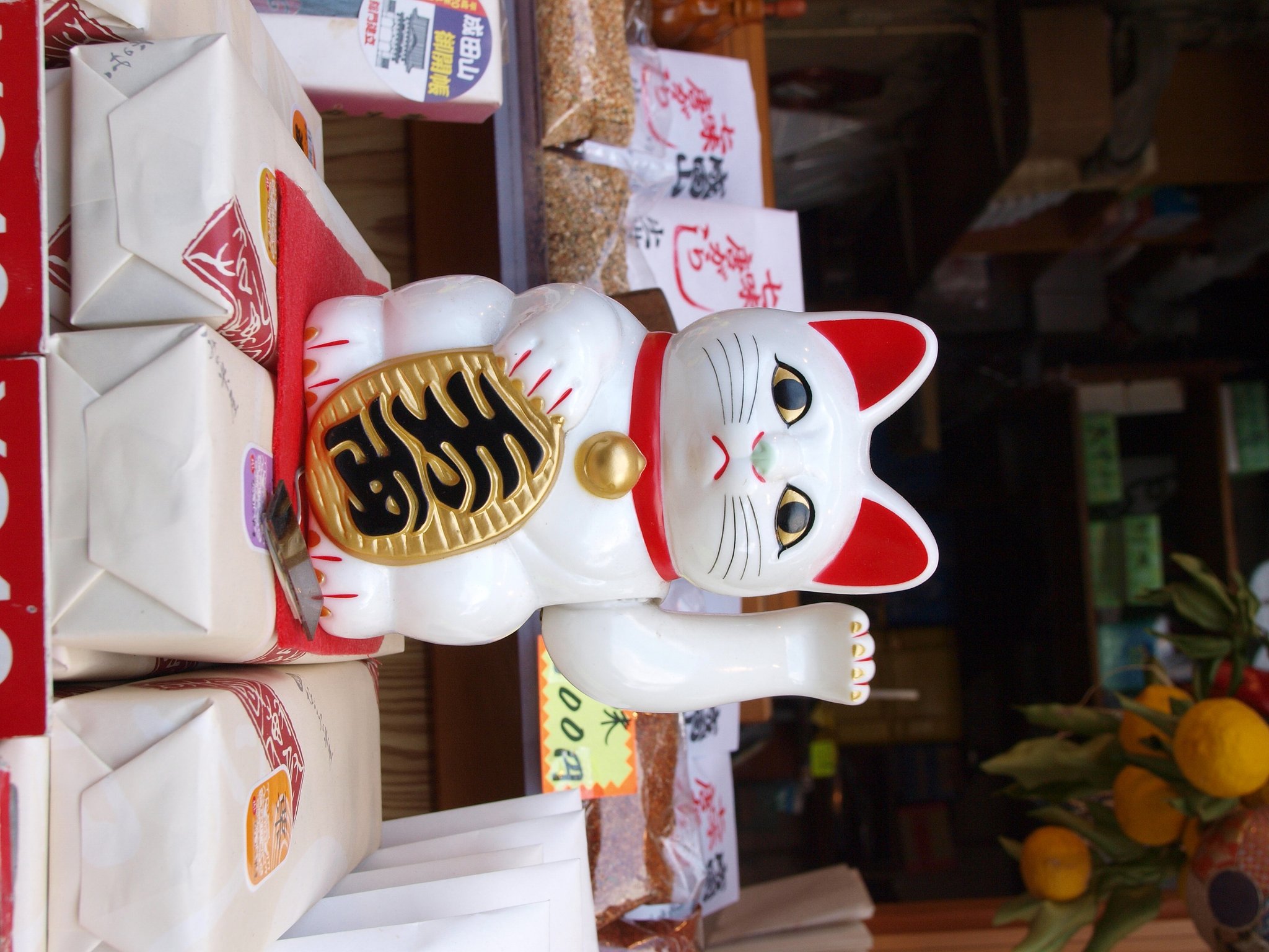 【街】頭の猫