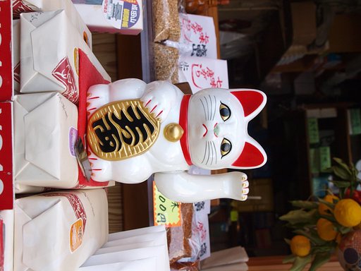 【街】頭の猫