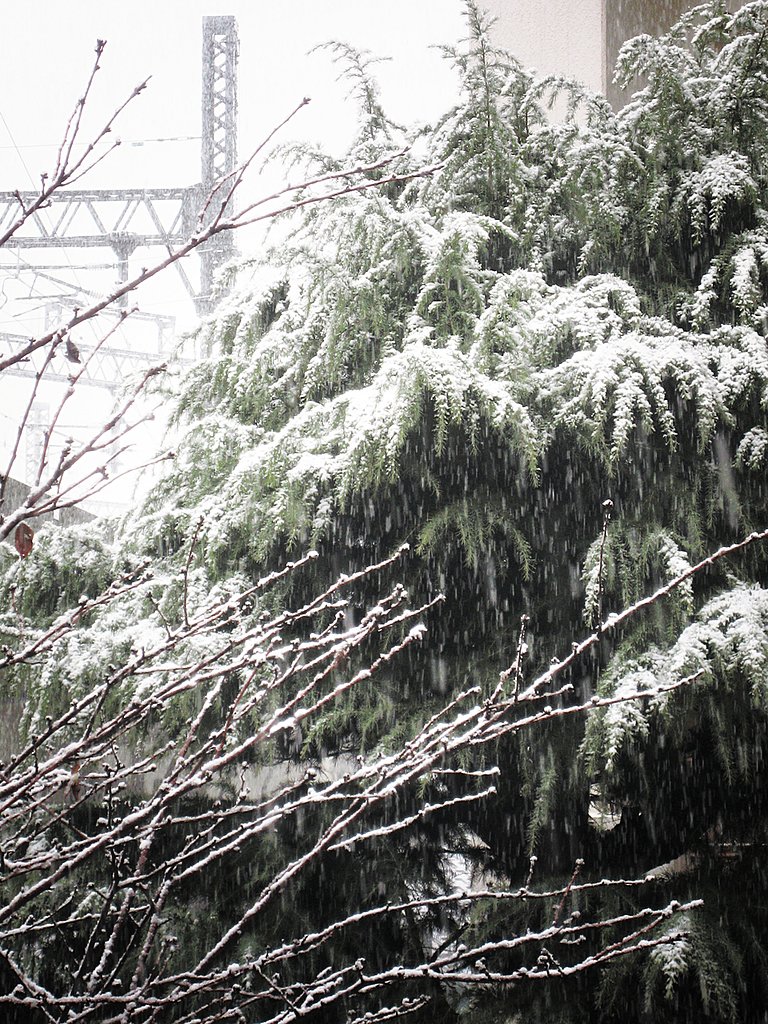 雪降る【街】景色