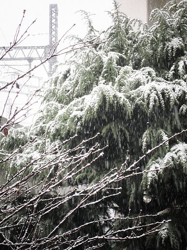 雪降る【街】景色