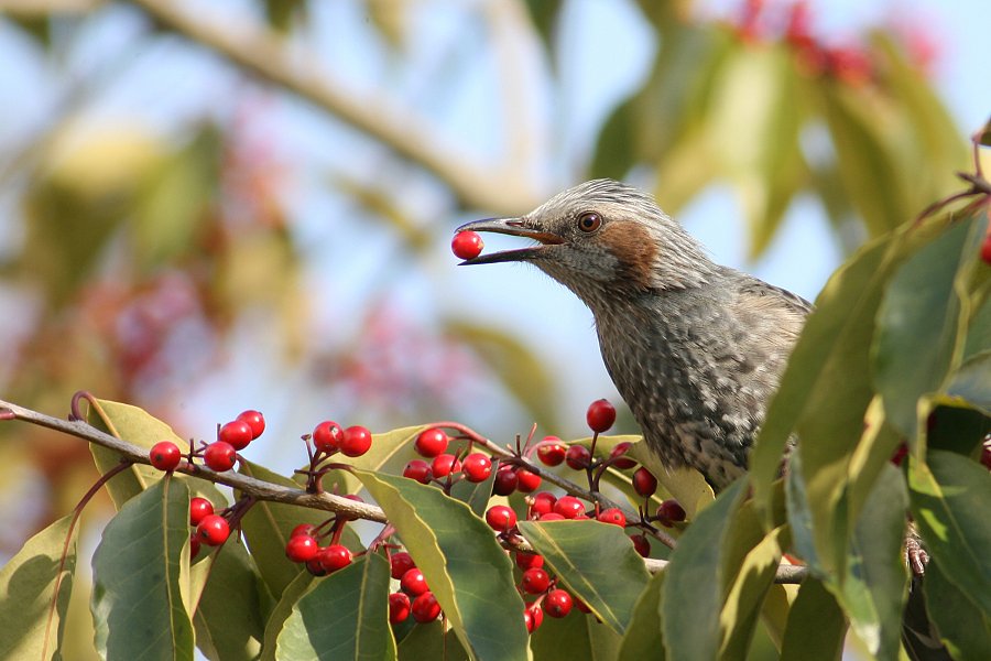 こいつぅ〜！