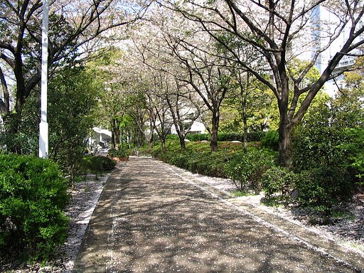 2008年４月【緑】　中間発表