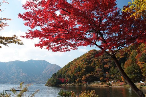 湖畔はこんなかんじです