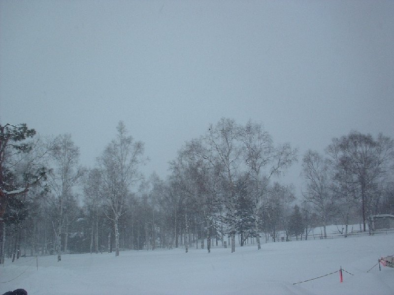 真っ白