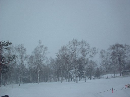 真っ白