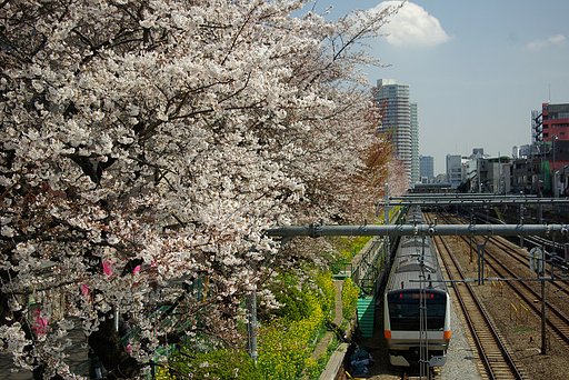 アッという間の沿線風景