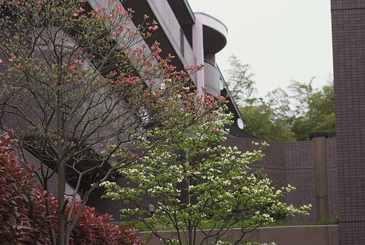 FUJINON-E　105/5.6