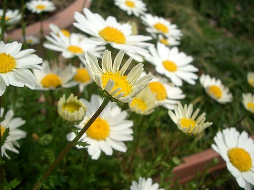 3月27日の写真