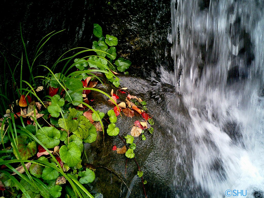 秋の流れ1