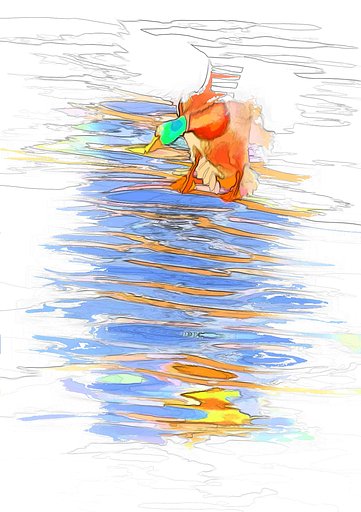 The flight of duck.
