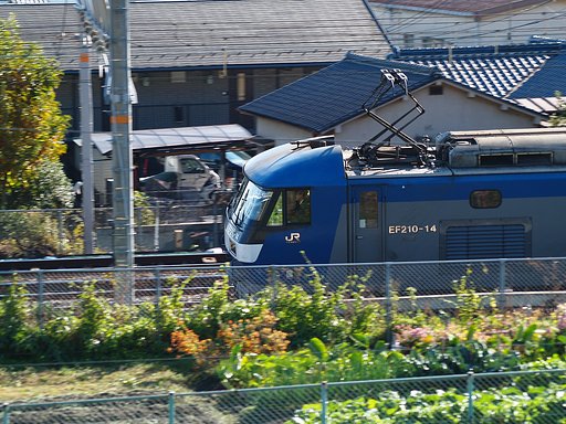 ジーゼル機関車