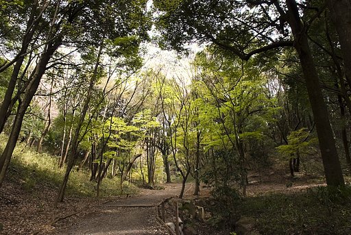 SIGMA AF14mm F3.5