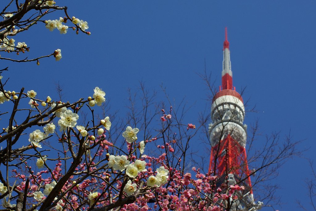 東京タワー