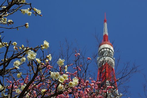 東京タワー