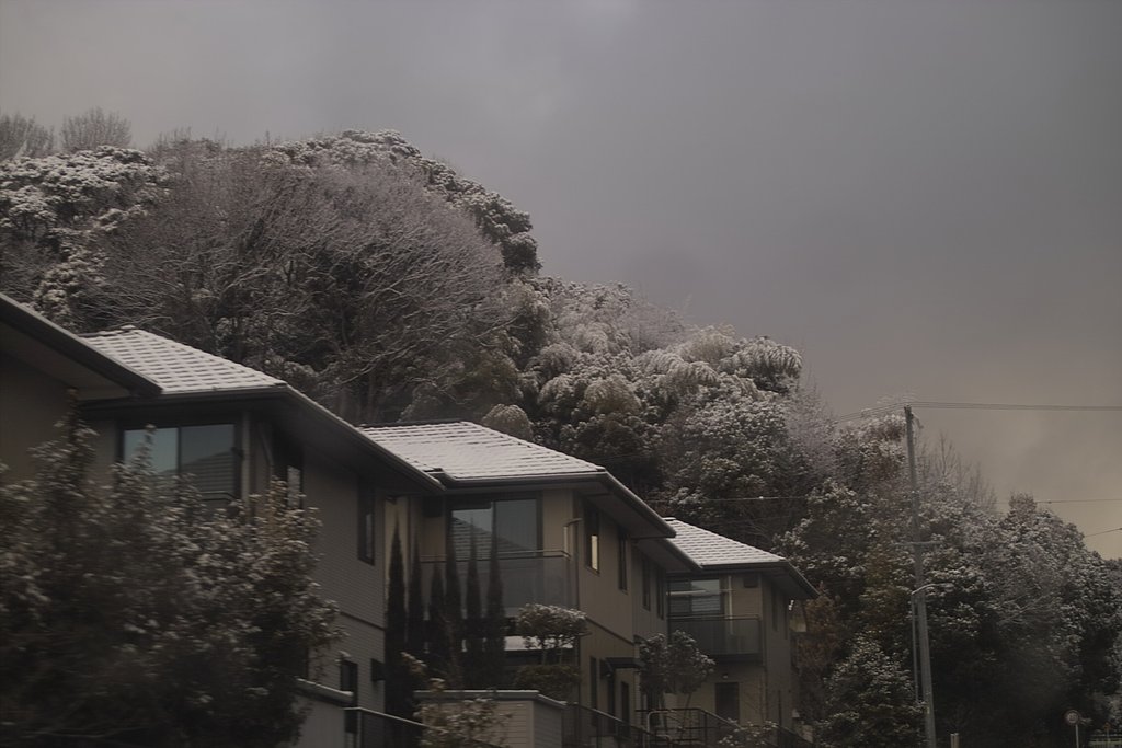 山沿いは雪