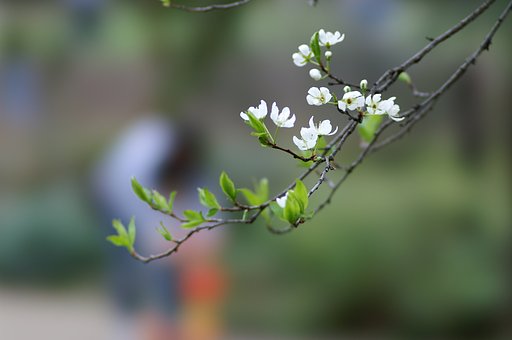【緑】　親子