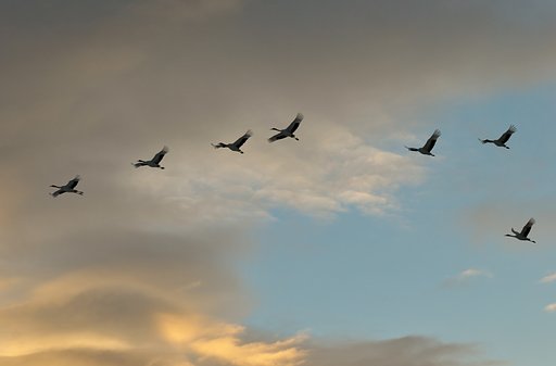 道東に行ってきました。