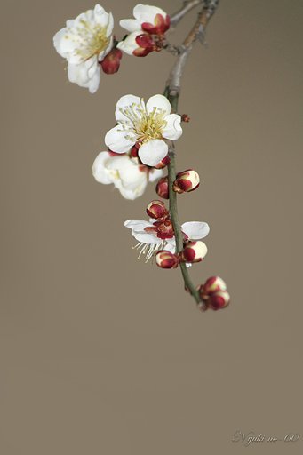 貴方色に