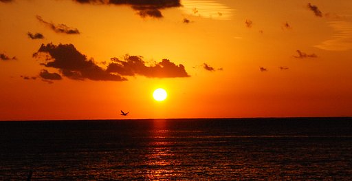 夕景