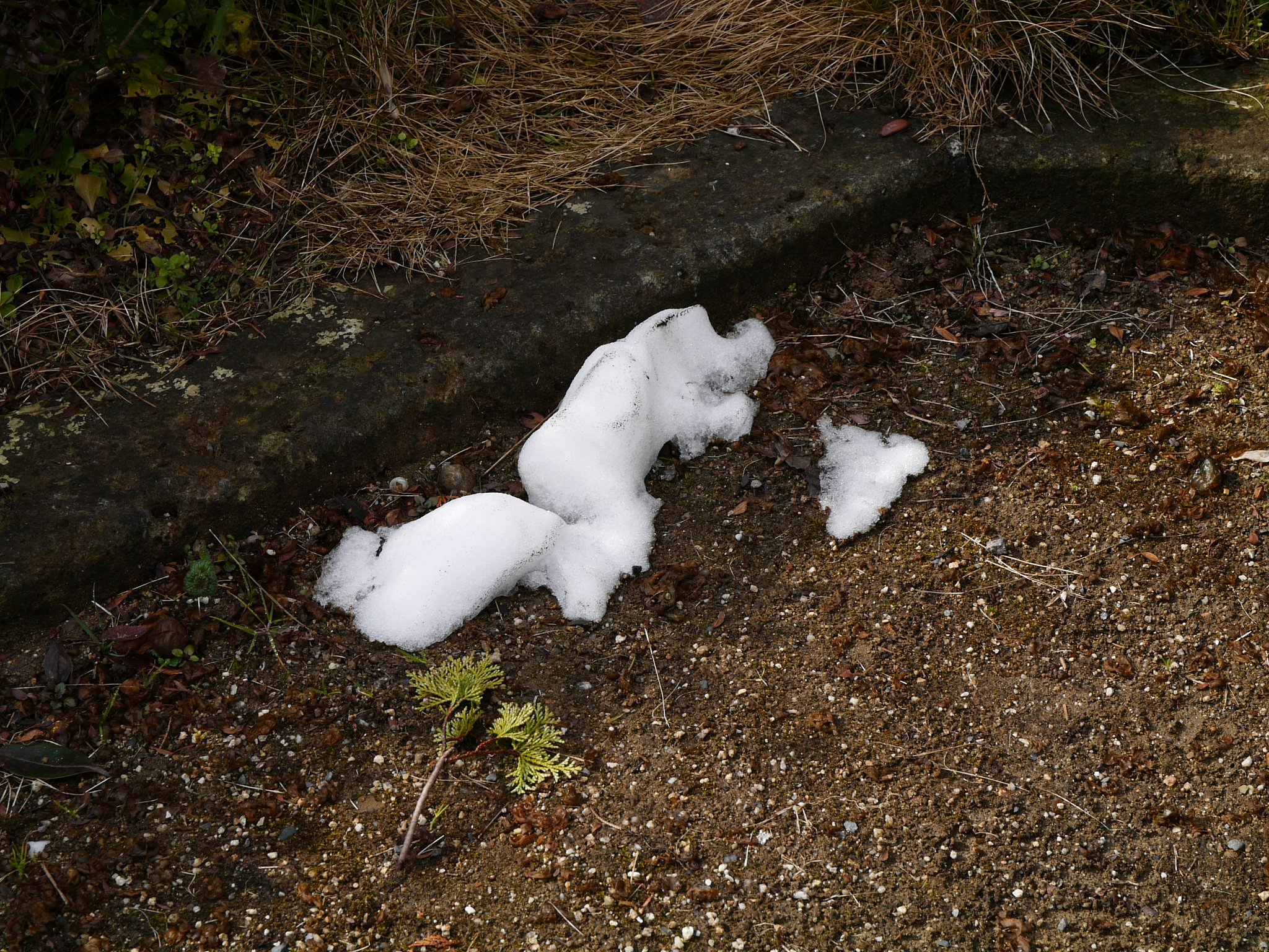 雪が残ってます。
