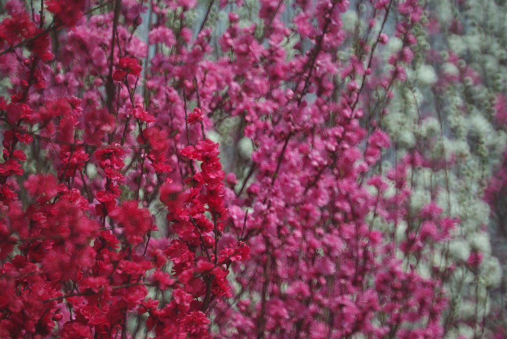Zenit AOMZ MC3M-7K 300mm F5.6