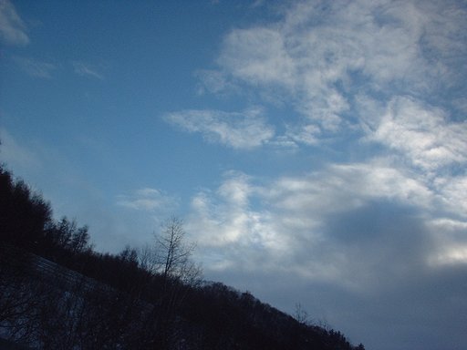 冬の青空