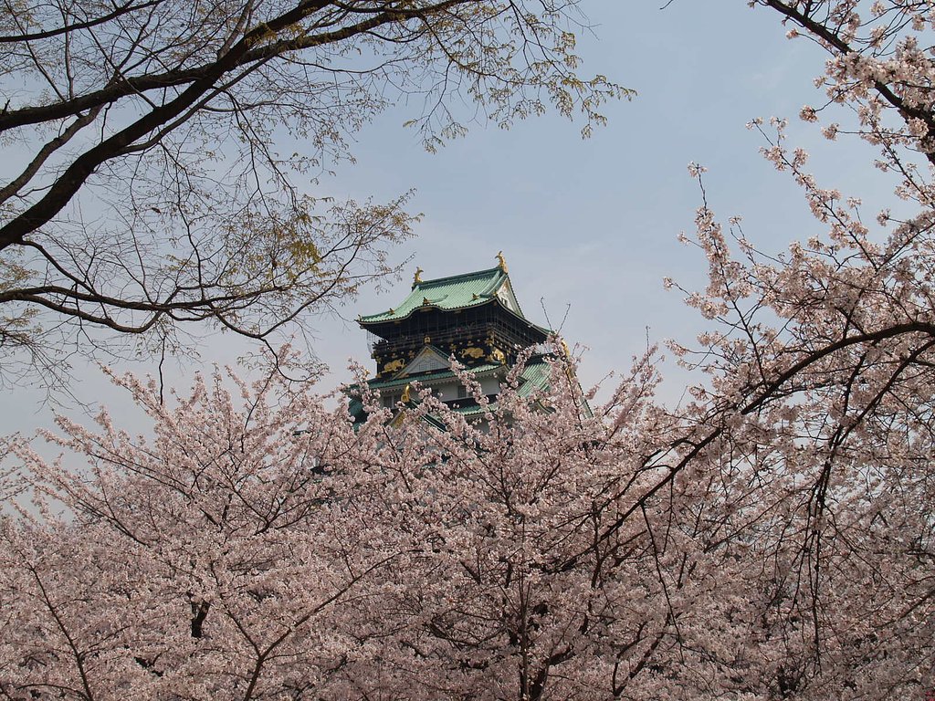 さくら大阪城