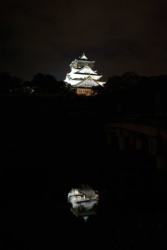 castle in the dark
