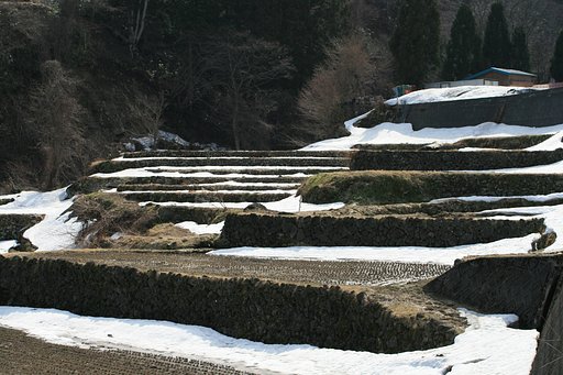 山間にやってきた遅い春