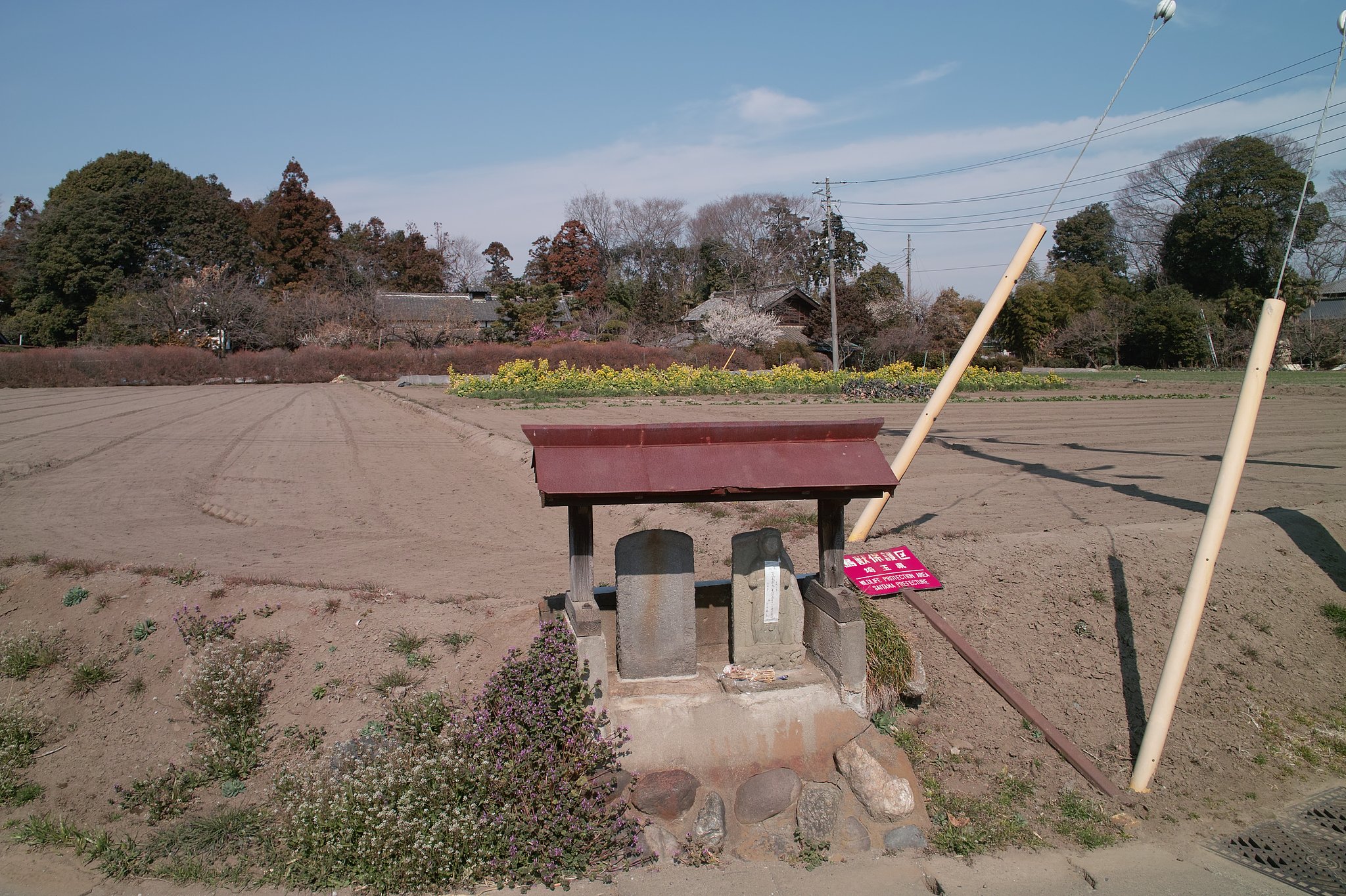 【赤】三叉路