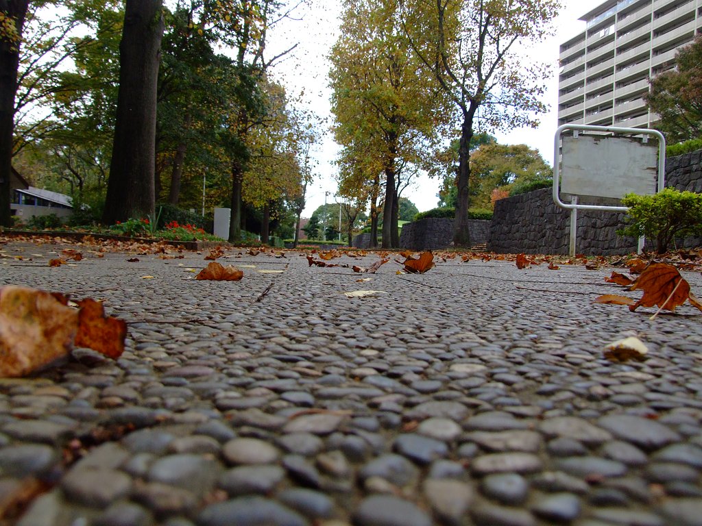 紅葉季節の風景