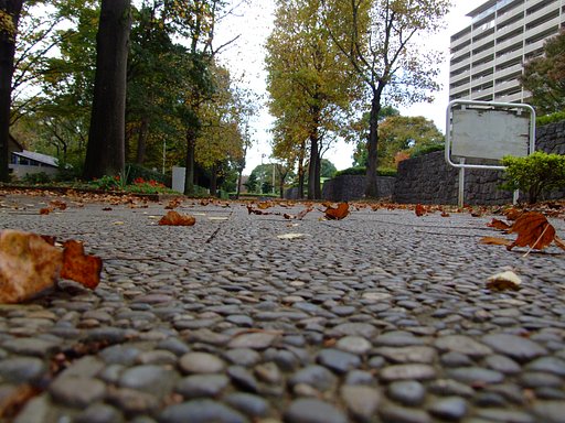 紅葉季節の風景