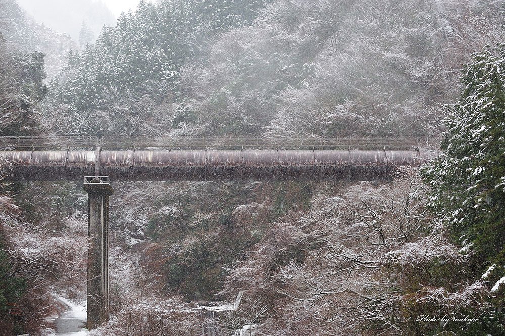 雪化粧・・・