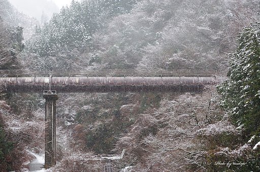 雪化粧・・・