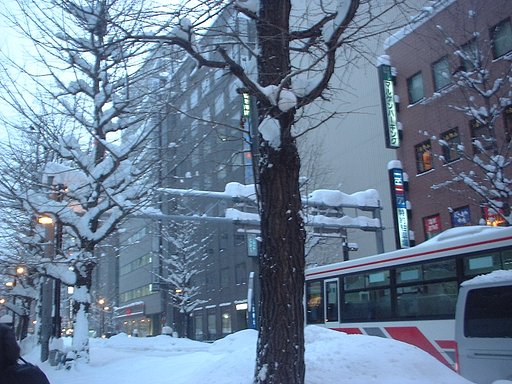 凄い雪だね〜；