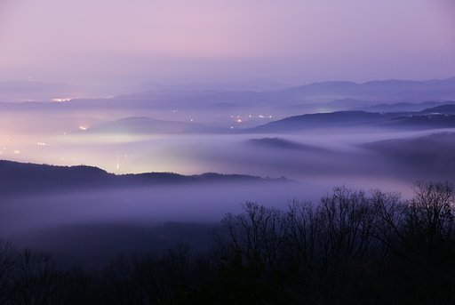 やわらかな朝霧