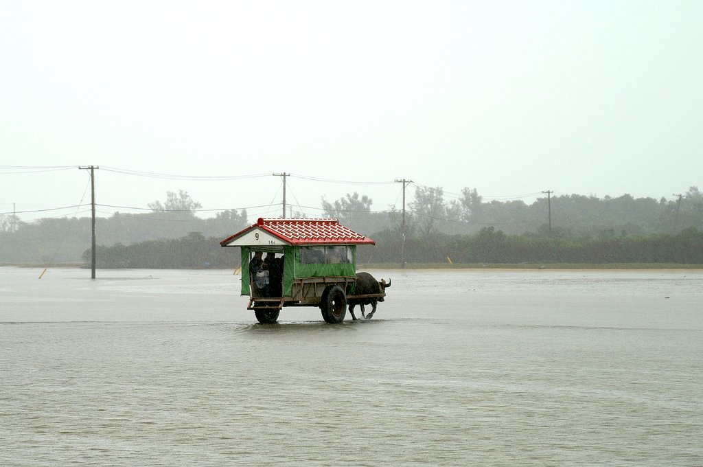 【街】水牛車