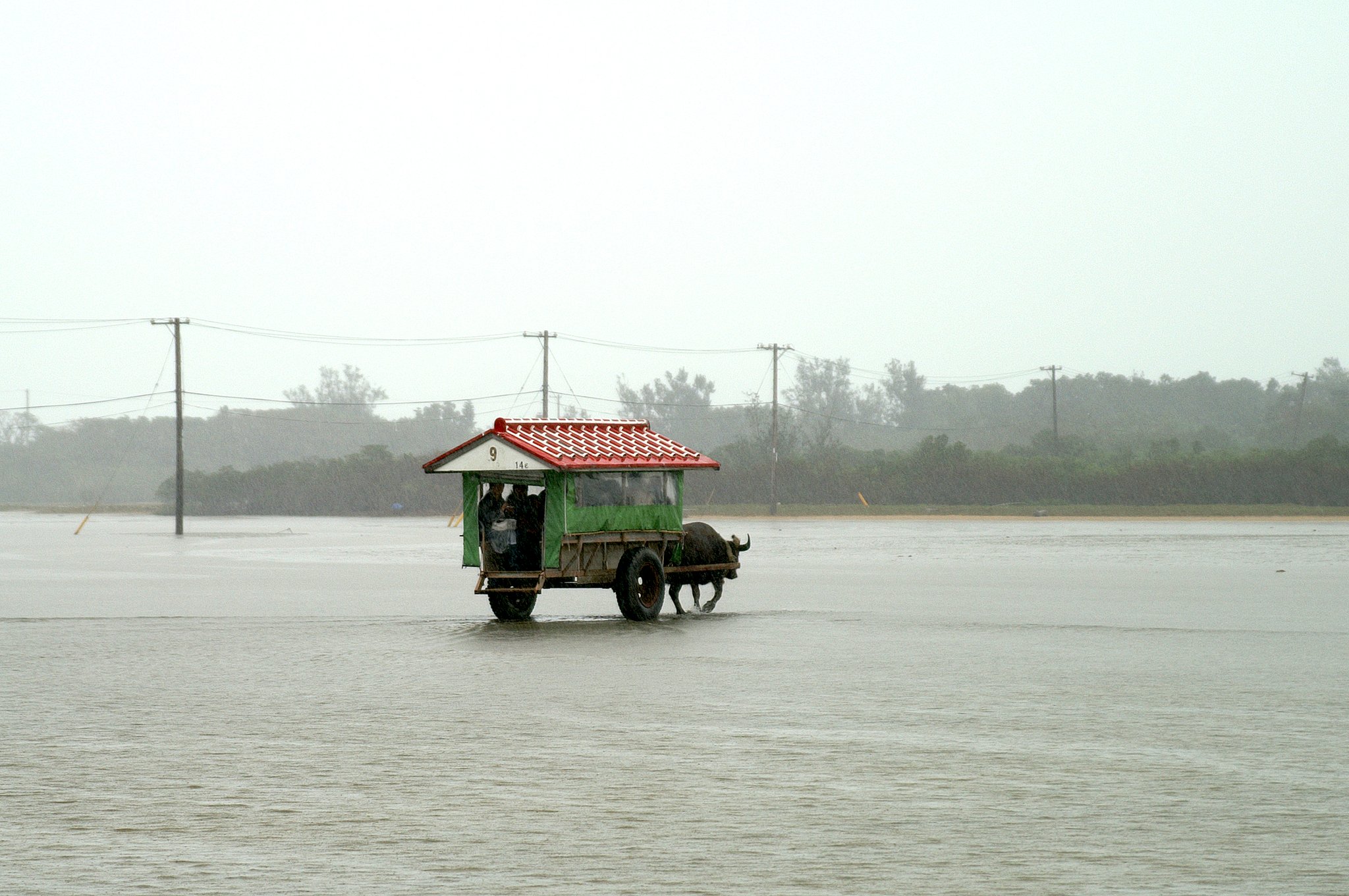 【街】水牛車