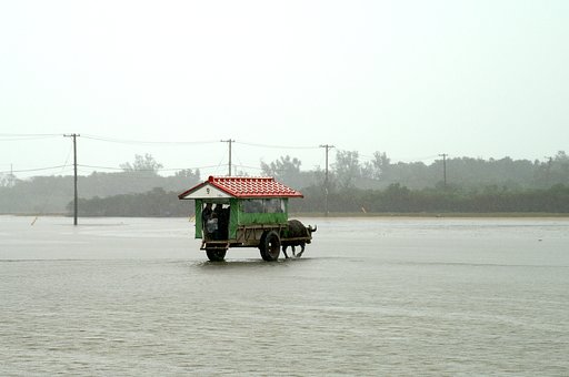 【街】水牛車