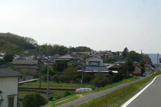 穴場の桜その4