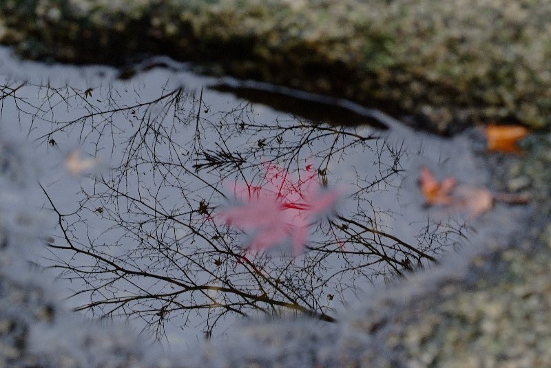 風情