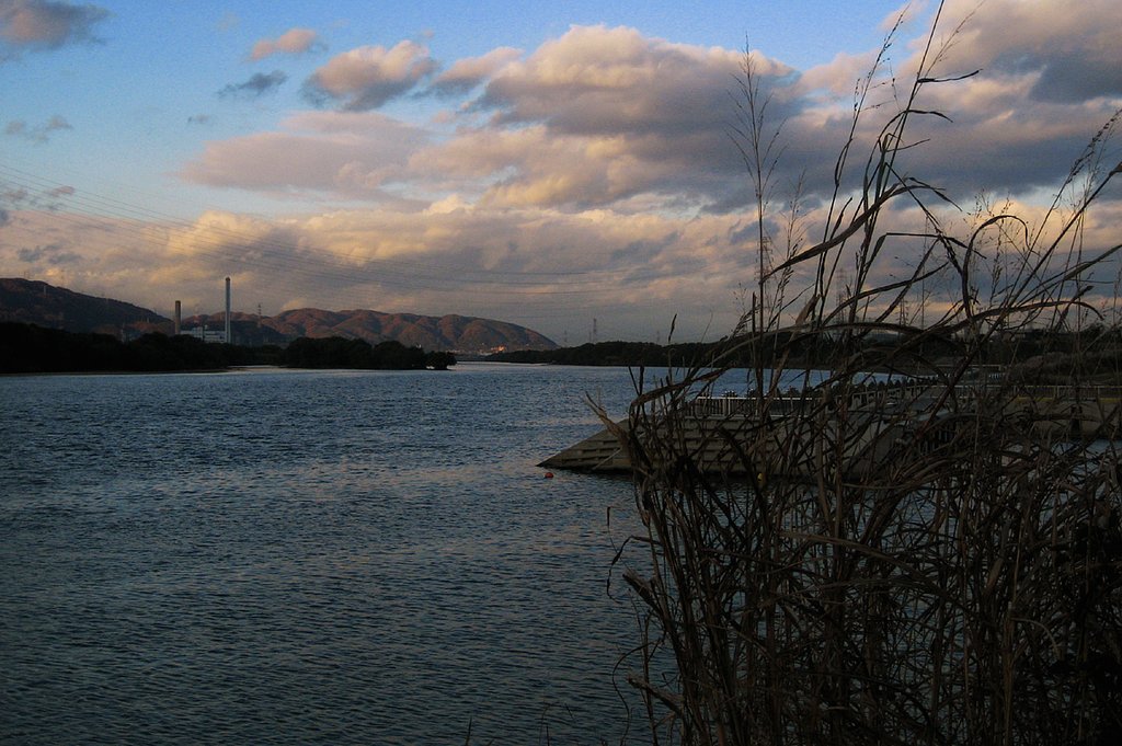 晩秋の川、東側夕景