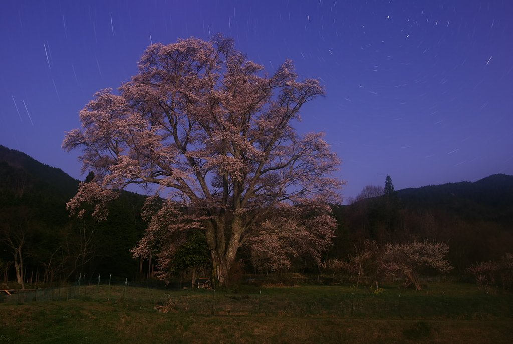 月光で撮る