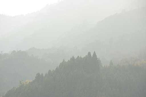 霞