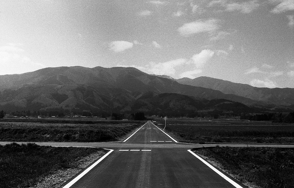 行き止まりの道
