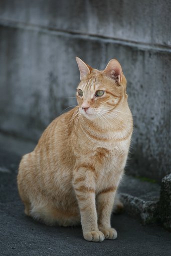 見つめて