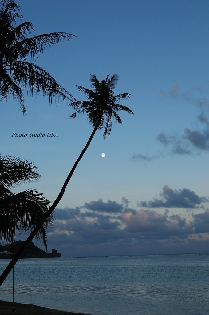 静かな海