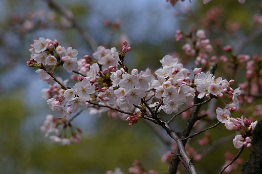 あわてんぼう
