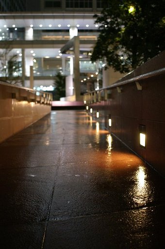ISO800