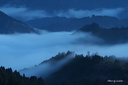 蒼